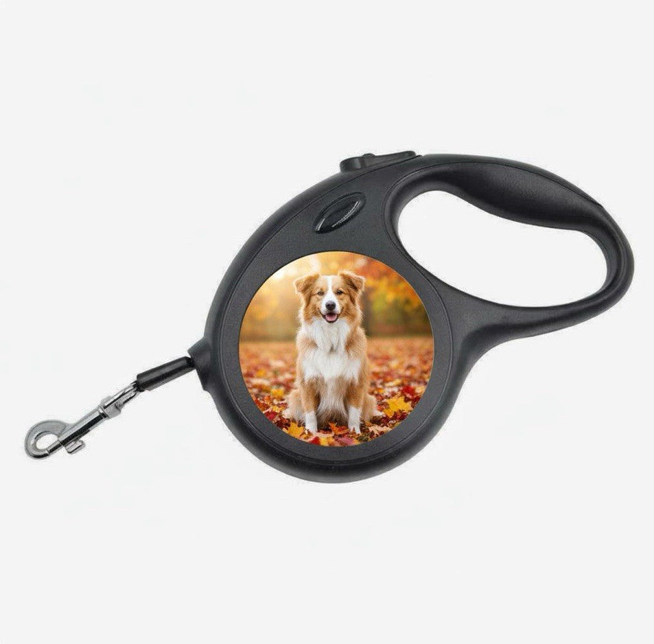Retractable Dog Lead – 5 Metre, Multiple Colours